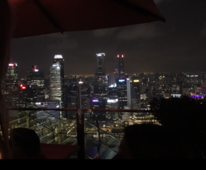 Singapore Skyline