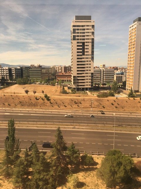 View from the office
